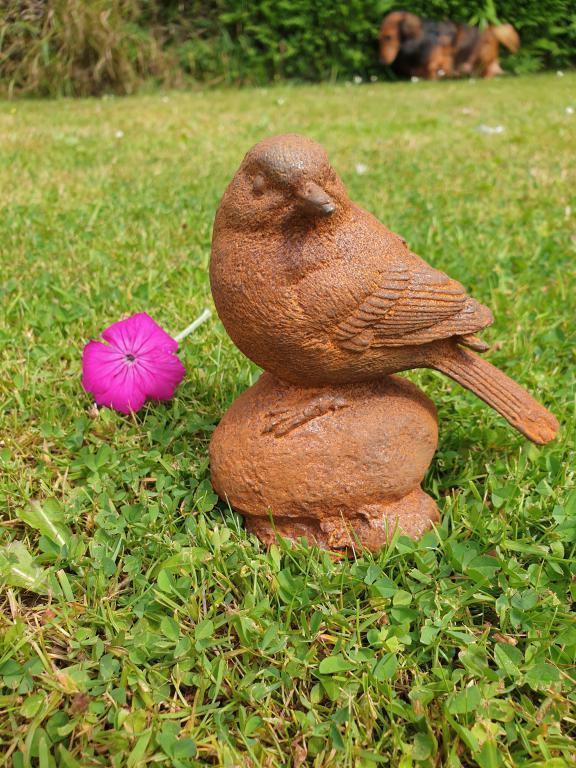 tuinbeeld vogel op rots , gietijzer, Tuin en Terras, Tuinbeelden, Nieuw, Steen, Ophalen of Verzenden