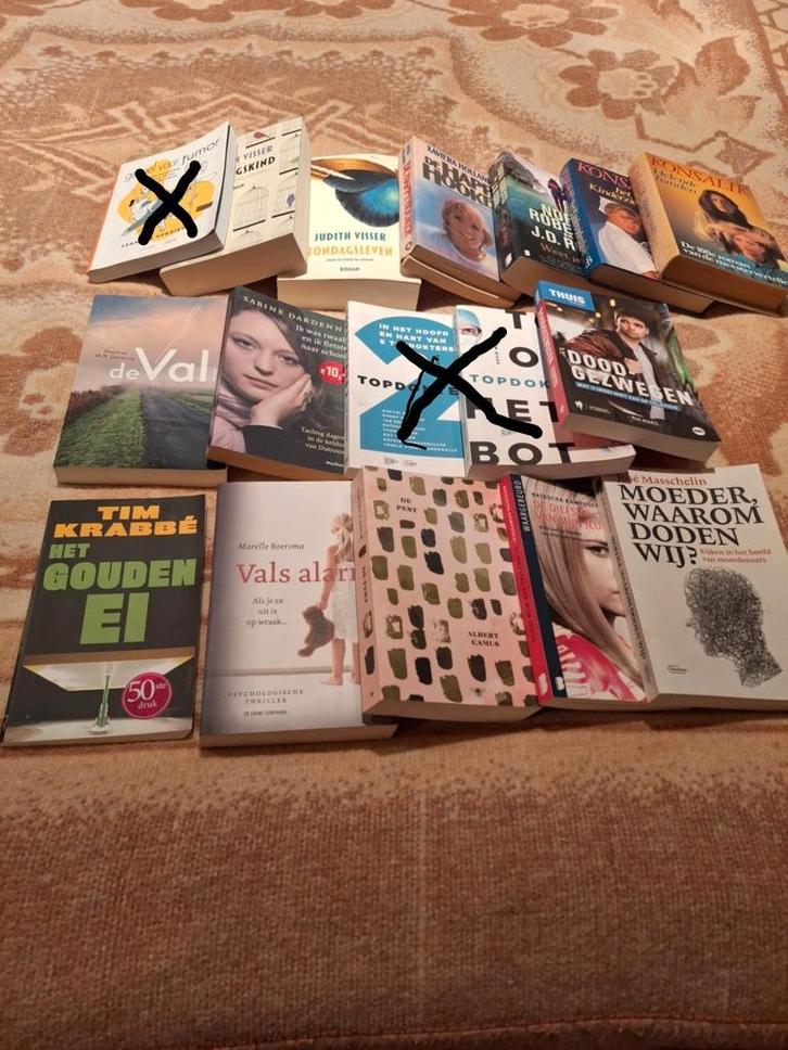 Lot van 13 leesboeken voor slechts 15€ KOOPJE, Boeken, Romans, Zo goed als nieuw, Ophalen of Verzenden