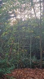 Antennemast, Telecommunicatie, Antennes en Masten, Ophalen, Gebruikt, Mast