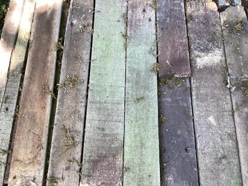 Planken  beschikbaar voor biedingen