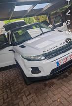 Range rover evoque 2013 wit. Perfecte staat vele opties, Wit, Diesel, Particulier, Te koop