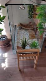 Terrarium baardagaam, Animaux & Accessoires, Reptiles & Amphibiens | Accessoires, Comme neuf, Enlèvement ou Envoi