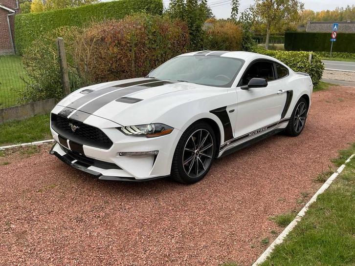 2019 Ford MUSTANG FASTBACK Personenauto, Auto's, Ford, Bedrijf, Mustang, Overige brandstoffen, Coupé, Automaat, Gebruikt