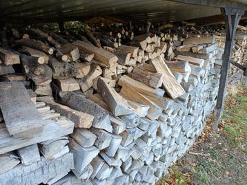 Gedroogd beuken beschikbaar voor biedingen