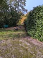 Tuinwerken Danny Bellens, Diensten en Vakmensen, Tuinonderhoud of Snoeiwerk