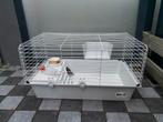 Knaagdieren / cavia kooi hok met toebehoren, Dieren en Toebehoren, Ophalen, Gebruikt, Hok, Cavia