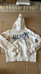 Pull polo Ralph lauren maat xs, Ophalen of Verzenden, Zo goed als nieuw