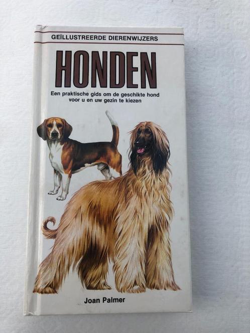 Honden - GEILLUSTREERDE DIERENWIJZER, Livres, Animaux & Animaux domestiques, Neuf, Chiens, Enlèvement