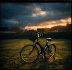 Oxford damesfiets, Fietsen en Brommers, 56 cm of meer, Ophalen, Gebruikt, Overige merken