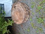 Nagelblok populier 1 meter diameter, Ophalen, Zo goed als nieuw