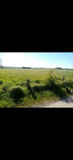 Terrain à construire, Immo, Terrains & Terrains à bâtir, Neufchâteau, 500 à 1000 m²