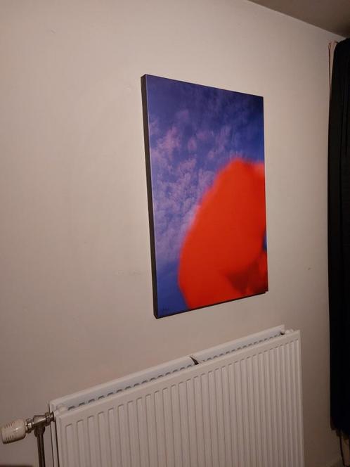 VERF ED     POPPY, Antiek en Kunst, Kunst | Tekeningen en Fotografie, Verzenden