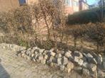 Kasseien wildverband, Tuin en Terras, Ophalen of Verzenden