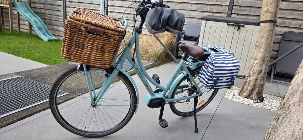 Oxford elektrische damesfiets, Enlèvement