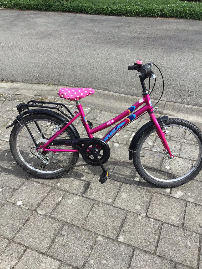 Roze fiets, Ophalen, Zo goed als nieuw, 20 inch, Versnellingen