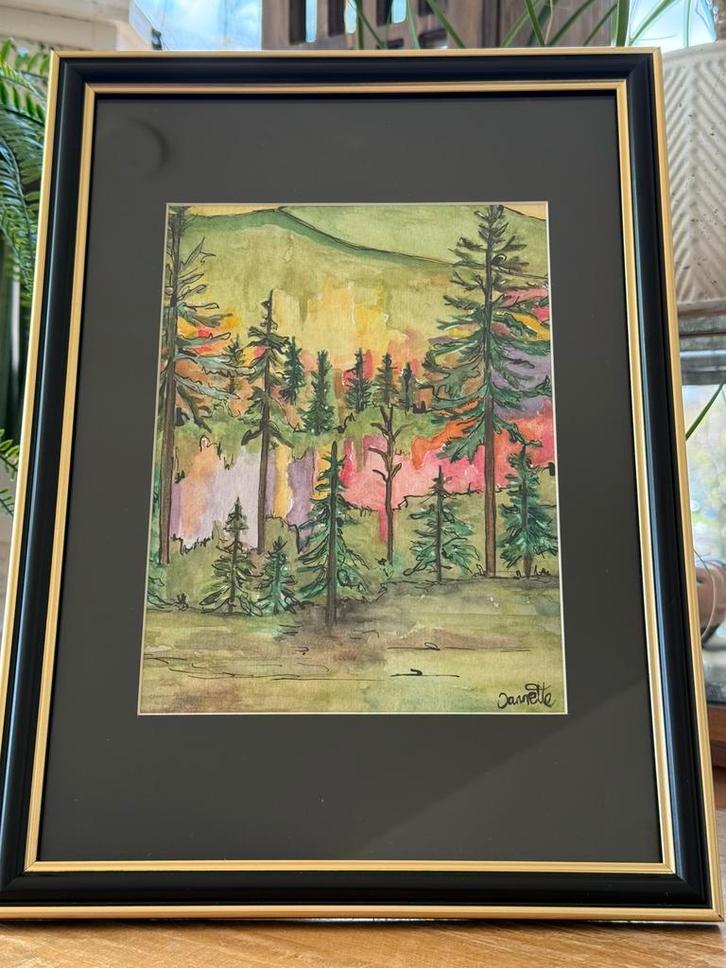 Sparrenbos kleurrijke aquarel in lijst, Antiek en Kunst, Kunst | Schilderijen | Klassiek, Verzenden