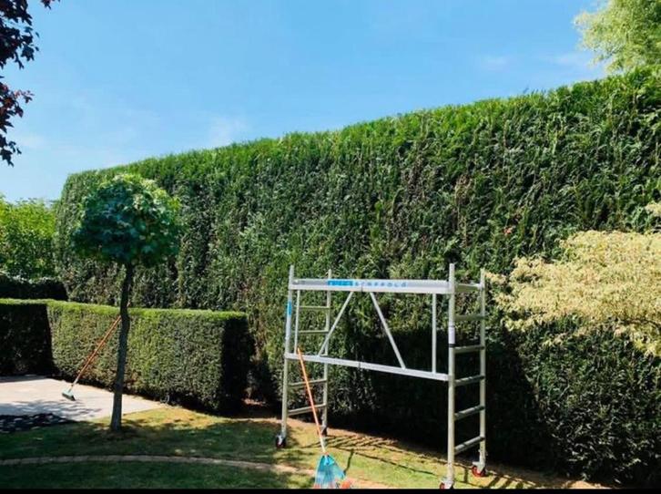 Reyma Tuinonderhoud, Tuin en Terras, Tuinhekken en Hekwerk, Zo goed als nieuw, Ophalen of Verzenden