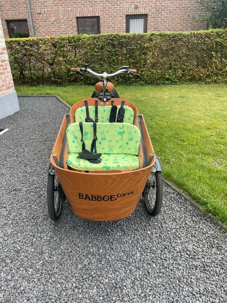 Elektrische bakfiets uitstekende staat, Fietsen en Brommers, Fietsen | Bakfietsen, 4 kinderen of meer, Elektrisch, Zo goed als nieuw