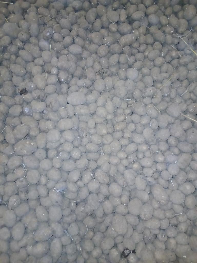 Aardappelen, Enlèvement