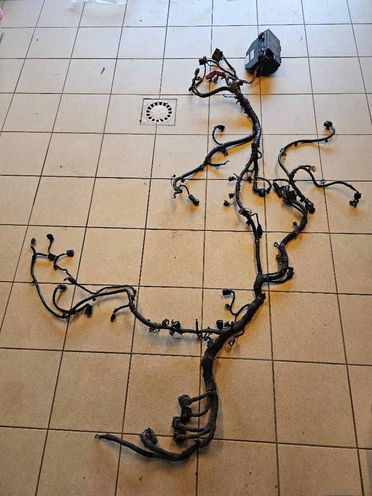 Faisceau électrique moteur complet et fusibles Dodge Ram, Autos : Pièces & Accessoires, Moteurs & Accessoires, Dodge, Utilisé