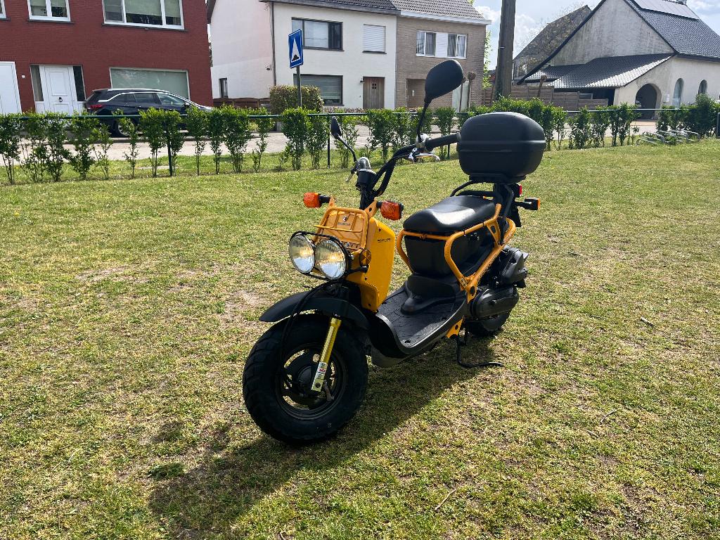 HONDA ZOOMER, Vélos & Vélomoteurs, Honda, 49 cm³, Classe B (45 km/h), Enlèvement