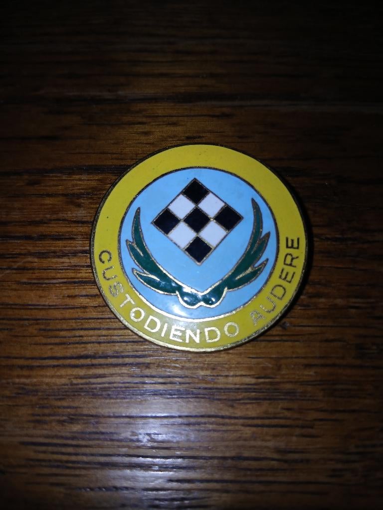 Breloque fae lum 13 wing 29 esc chasse de jour, Envoi, Armée de l'air, Emblème ou Badge