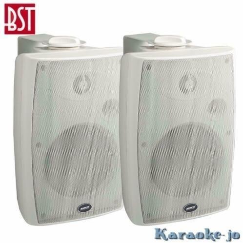 BST-270TW 100Volt Luidspreker set 2-weg 30 Watt, Audio, Tv en Foto, Ophalen of Verzenden, Nieuw, Overige typen