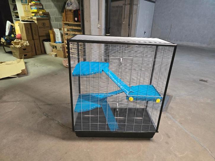 3 cages pour rongeurs, Animaux & Accessoires, Rongeurs & Lapins | Accessoires, Utilisé, Accessoire pour rongeur, Enlèvement