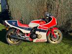 Honda CB1100R uit 1982 in zeer goede staat, 4 cilinders, Motorrijbewijs A, Meer dan 35 kW, 1062 cc