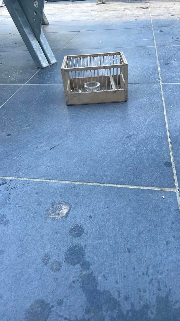 Kleine vogel, Enlèvement, Comme neuf