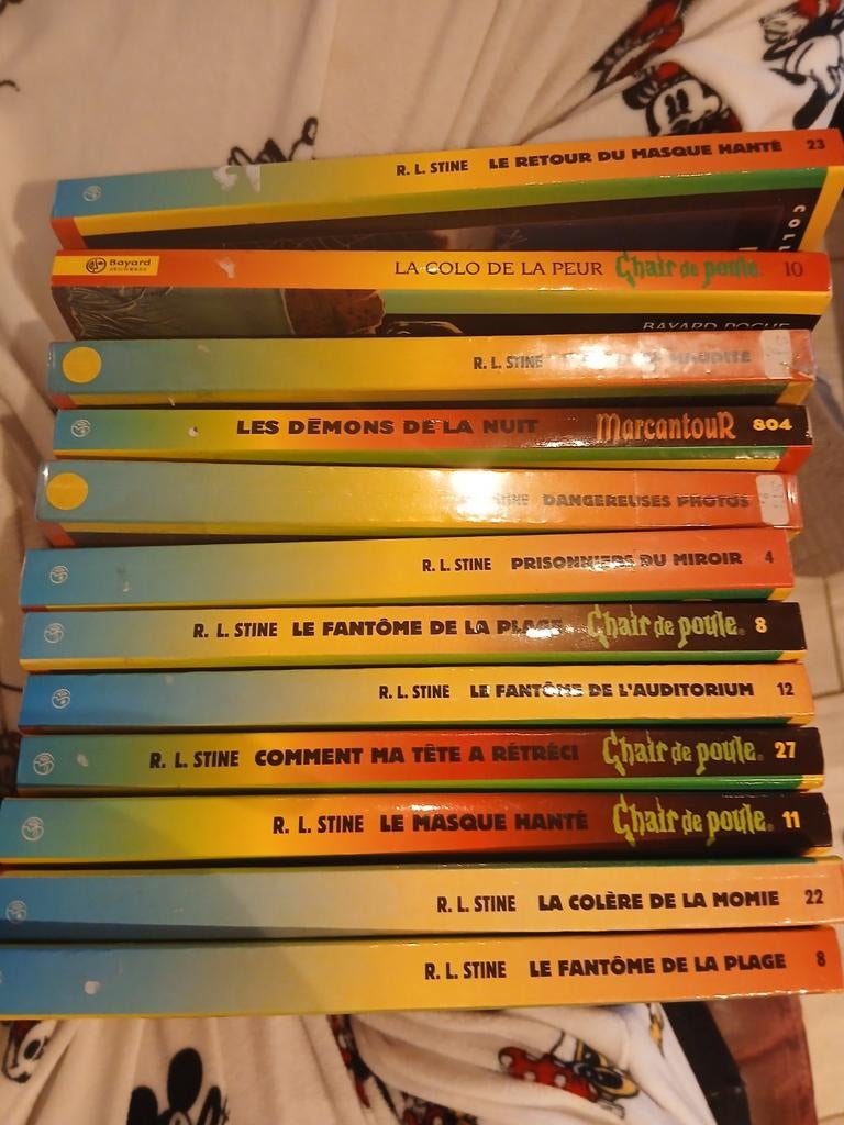 Lot de 12 chair de poule, Livres, Enlèvement