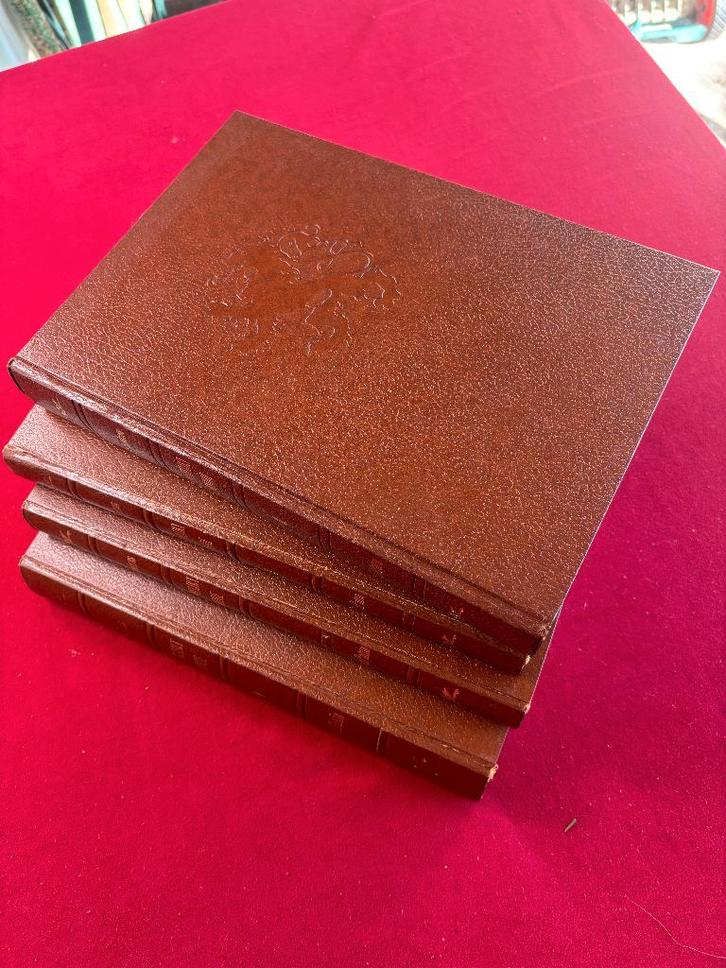 Verheerlijkt Vlaandere, Boeken, Geschiedenis | Stad en Regio, Zo goed als nieuw, 20e eeuw of later, Ophalen of Verzenden