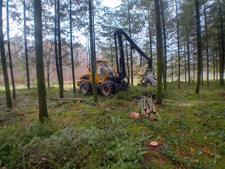 Abatteuse, Articles professionnels, Articles professionnels Autre, Enlèvement