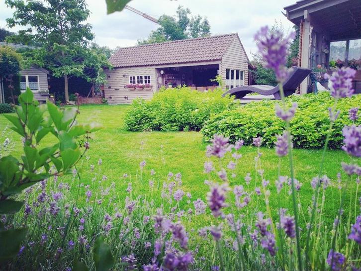 Gras,zaaien, grasmatten,tuinaanleg,onkruid,beregening., Tuin en Terras, Gras en Kunstgras, Gras, Ophalen of Verzenden