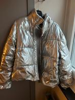 mooie zilveren winterjas Pieces xl, Vêtements | Femmes, Vestes | Hiver, Taille 46/48 (XL) ou plus grande, Enlèvement ou Envoi
