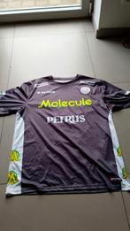 voetbalshirt Zulte Waregem 2012-2013 play offs XL, Maat XL, Ophalen of Verzenden, Zo goed als nieuw, Shirt