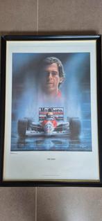 Poster artwork ayrton senna ´the hero´, Verzamelen, Ophalen