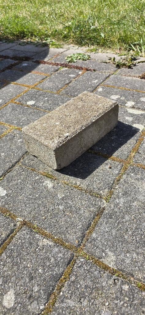 Klinkers oprit of terras GRATIS, Enlèvement, Utilisé, Béton, Briques