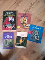 Lot boeken over vogels, Boeken, Kinderboeken | Jeugd | 10 tot 12 jaar, Ophalen of Verzenden