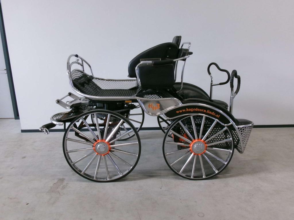 LEON 2-Span marathonwagen. Zeer compleet uitgevoerd., Animaux & Accessoires, Voitures & Carrosses, Utilisé, Calèche marathon, Cheval