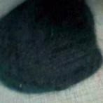 mooie nieuwe zwarte muts 70% angora 20% polyamid, Kleding | Dames, Mutsen, Sjaals en Handschoenen, Ophalen, Muts