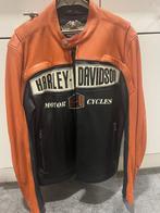 Veste Harley-Davidson, Harley -Davidson, Nieuw zonder kaartje, Jas | leer, Heren