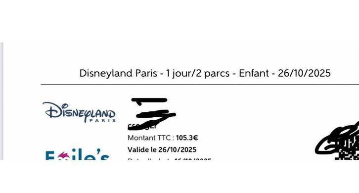 Disneyland tickets kind, Tickets en Kaartjes, Recreatie | Pretparken en Attractieparken, Eén persoon, Ticket of Toegangskaart