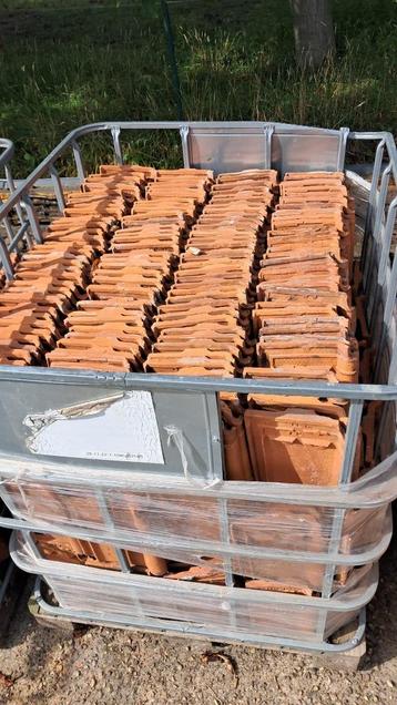 dakpan Sterreberg  beschikbaar voor biedingen