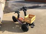 Nieuwe Driewieler electrische scooter klasse B, Fietsen en Brommers, Brommers | Overige merken, Ophalen, Nieuw, Klasse B (45 km/u)