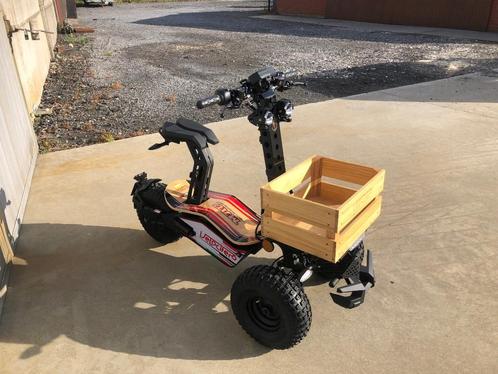 Nieuwe Driewieler electrische scooter klasse B, Fietsen en Brommers, Brommers | Overige merken, Nieuw, Klasse B (45 km/u), Ophalen