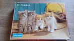 Poezen puzzel 25 stukken, Kinderen en Baby's, Ophalen of Verzenden, 10 tot 50 stukjes, Gebruikt