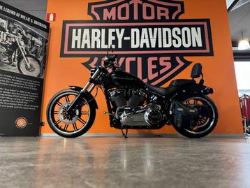 Harley-Davidson Chopper Breakout 114 (bj 2019) beschikbaar voor biedingen