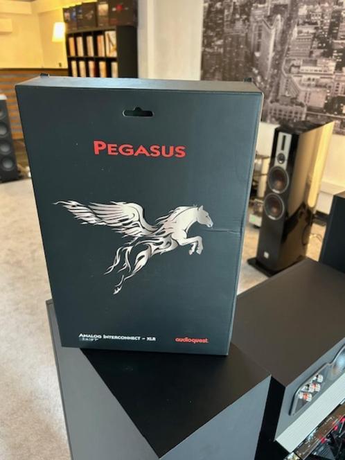 Audioquest PEGASUS XLR 2xDBS 2meter, TV, Hi-fi & Vidéo, Câbles audio & Câbles de télévision, Comme neuf, Câble Interlink, 2 à 5 mètres