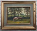 Huile sur panneau vaches signe Fred Thompson, Ophalen of Verzenden